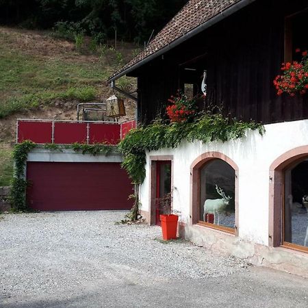 Le Moulin Des Automates Fréland Exterior foto