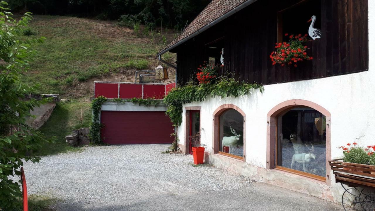 Le Moulin Des Automates Fréland Exterior foto